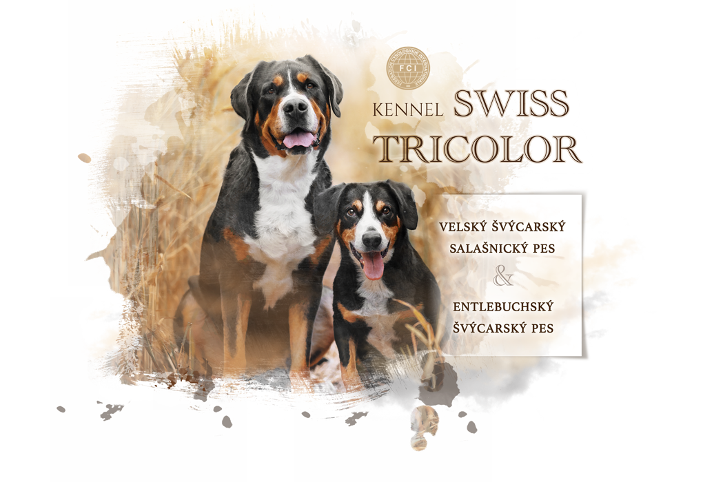 Swisstricolor